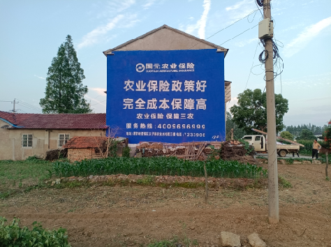 光泽墙体广告为何受追捧？